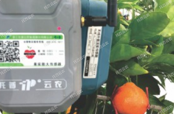 1685951592419041.jpg 1685951592419041.jpg