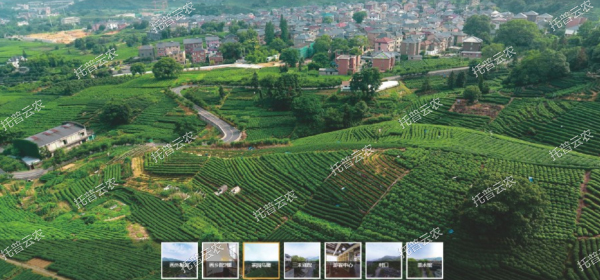 1685945738601621.jpg 1685945738601621.jpg