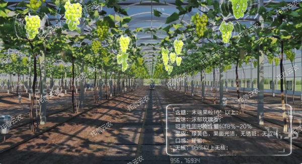 1685947078556654.jpg 1685947078556654.jpg