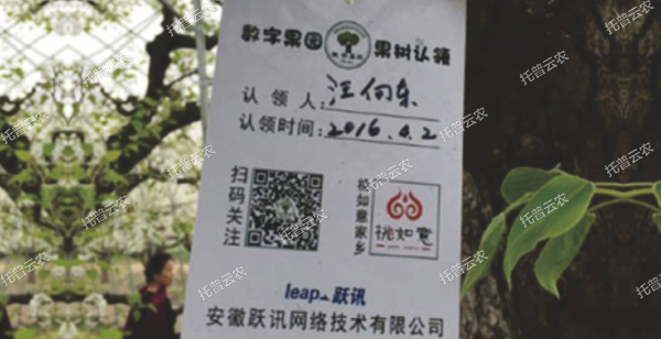 1685947190670135.jpg 1685947190670135.jpg