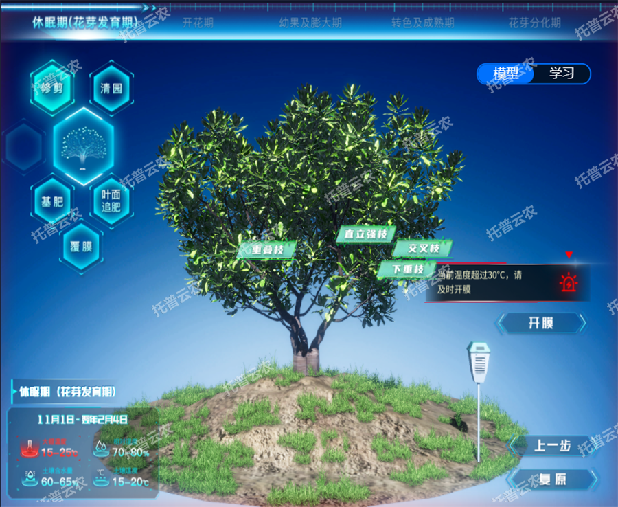 首個楊梅產(chǎn)業(yè)數(shù)字孿生應(yīng)用場景打造 首個楊梅產(chǎn)業(yè)數(shù)字孿生應(yīng)用場景打造