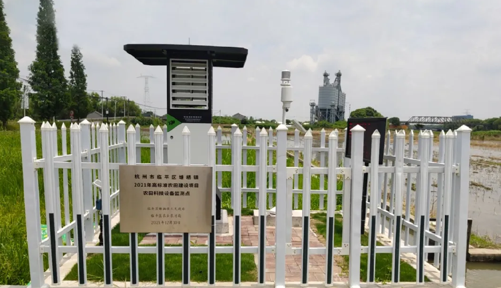 聽(tīng)說(shuō)，現(xiàn)在流行這樣種田