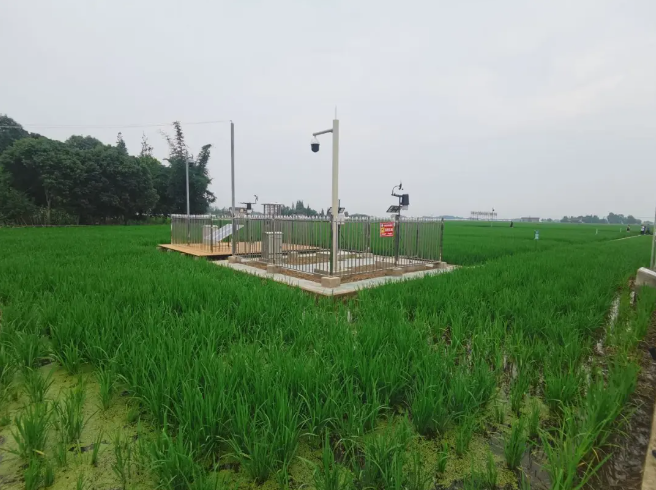 耕地質(zhì)量綜合監(jiān)測點，邛崍現(xiàn)代農(nóng)業(yè)的新探索和實踐