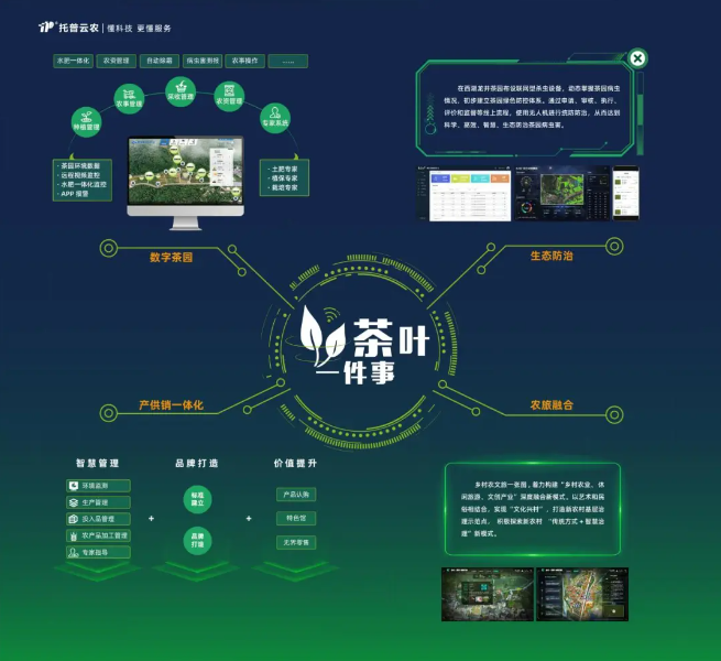 數(shù)字茶園案例 | “數(shù)字”賦能茶產(chǎn)業(yè)，“茶葉一件事”續(xù)寫中國茶發(fā)展新模式