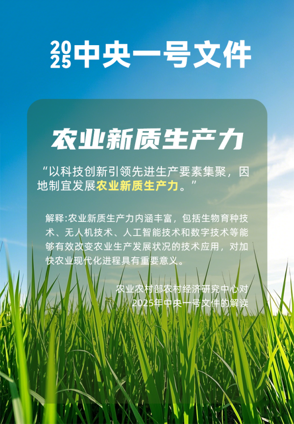 農(nóng)業(yè)人工智能受關(guān)注！國務(wù)院研究室農(nóng)村司副司長楊春悅一行蒞臨托普云農(nóng)考察調(diào)研