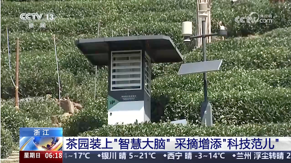 央視、人民網(wǎng)等權(quán)威媒體聚焦西湖龍井：托普云農(nóng)“黑科技”點(diǎn)亮千年茶香智變之路