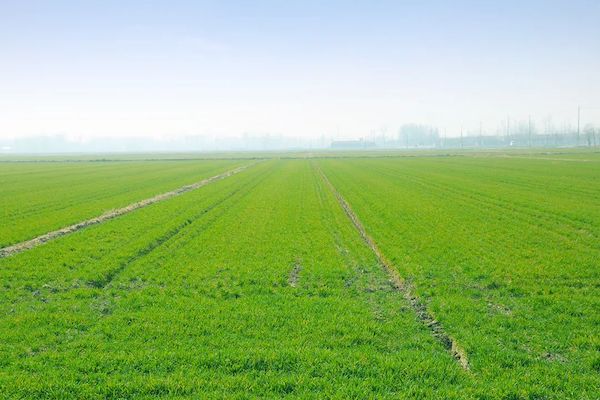 科技賦能春耕，托普云農(nóng)智慧農(nóng)情監(jiān)測站再獲央視關(guān)注