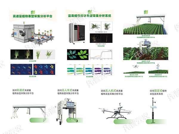 AI+農(nóng)業(yè)新突破！托普高通量植物表型智能分析平臺(tái)助力智慧農(nóng)業(yè)創(chuàng)新發(fā)展
